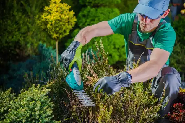 landscaping services Cornwall-on-Hudson